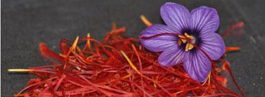 atelier_cuisine_c_khalil_nemmaou-sub